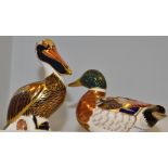 A Royal Crown Derby paperweight, Mallard; another, Brown Pelican,