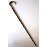 Antique Walking Stick with Horn Handle. Gold or gold plated mount and collar, ebonised shaft and