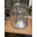 glass bell dome and stand