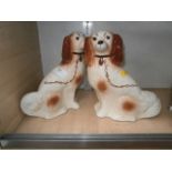 pair of staffordshire flat back dogs
