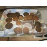 tray of old pennies and coins