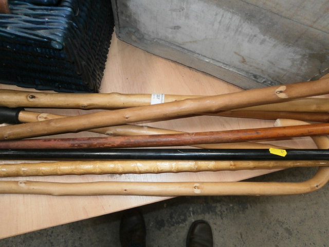 selection of walking sticks