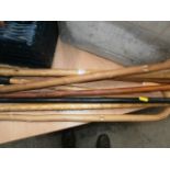 selection of walking sticks