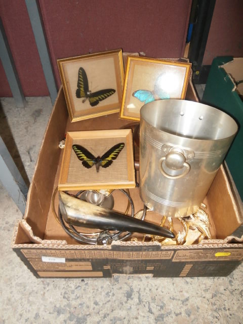 box inc wooden trinket box and framed butterflies