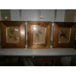 3 framed bird prints