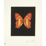 Hirst, Damien: Emerge (Butterfly) Emerge (Butterfly) Farbige Aquatinta und Photogravüre auf