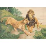 Fromentin, Eugène: Löwenpaar Löwenpaar.  Aquarell und Gouache auf festem Velin. 26,5 x 38,1 cm.
