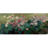 Froelich, L.: Rosa Alpenveilchen Rosa Alpenveilchen.  Öl auf Leinwand. 48 x 105 cm. Unten rechts