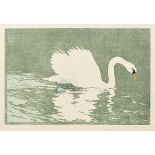 Thiemann, Carl: Schwan Schwan Farbholzschnitt auf Japan. 1907. 19,6 x 29,8 cm (27,5 x 40 cm). Merx