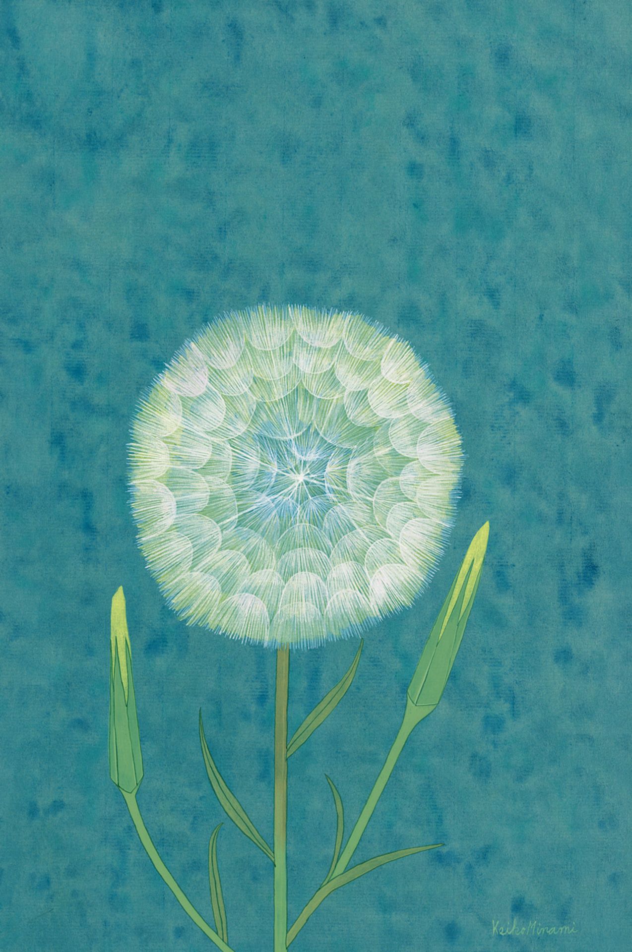 Pustule (Dandelion) Watercolor on grey laid paper.  43,8 x 29,3 cm. Signed with brush in light green