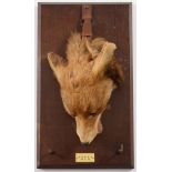 A mounted fox mask with plaque 'OS & BH