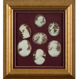 A group of seven framed oval shell portr