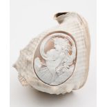 A 19th century carved Nautilus shell:, decorated after The Antique with an oval portrait of a woman,