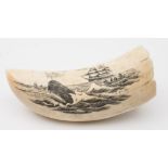 A scrimshaw decorated tooth:, one side with a whaler after a Sperm whale,