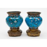 A pair of Japanese cloisonne and ormolu censers: with all over flowering shrubs to a powder blue