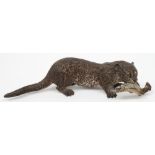 An Austrian cold painted bronze figure of an otter:, holding a fish in its mouth,