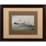 A 19th century ship's portrait, 'SS Vianda' rising on a swell:,