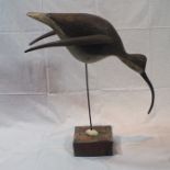 GUY TAPLIN (b.1939) "Winged Curlew" a carved and painted driftwood sculpture mounted on metal rod,