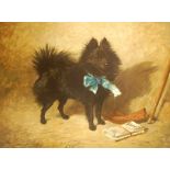 JOHN EMMS (1843-1912) A Pomeranian, oil on canvas, signed and inscribed 'Fitz', dated 1895, 49cm