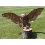 ALF NORMAN A well modelled stainless steel sculpture of an owl, wings outstretched, on stand