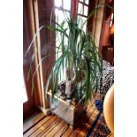 A pair of oak framed and tin-plate panelled planters, of square form, 50cm high