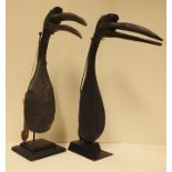 Two West African Nigerian Hausa hornbill decoys with mounts