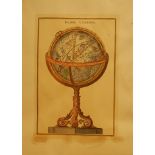 BRITISH SCHOOL 20TH CENTURY Globe Celeste, hand coloured reproduction print, 54cm x 41cm