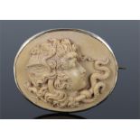 Victorian cameo of the Gorgon Medusa, facing left with long trailing snake, winged head of Medusa,