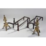 Pair of 18th Century French fire dogs, the brass d