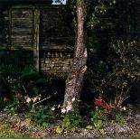 ARR Sarah Jones (b.1959). The Pear Tree, (Mulberry Lodge), 1998. Chromogenic print, printed 2001,
