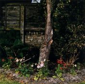 ARR Sarah Jones (b.1959). The Pear Tree, (Mulberry Lodge), 1998. Chromogenic print, printed 2001,