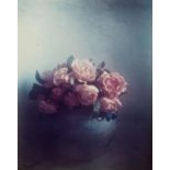 ARR David Hamilton (b.1933). Roses, St Tropez, 1980. Chromogenic print on Kodak paper, signed,