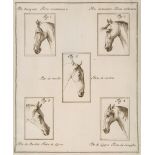 La Perfezione e i Difetti del Cavallo, engraved additional title  (Friedrich Wilhelm,