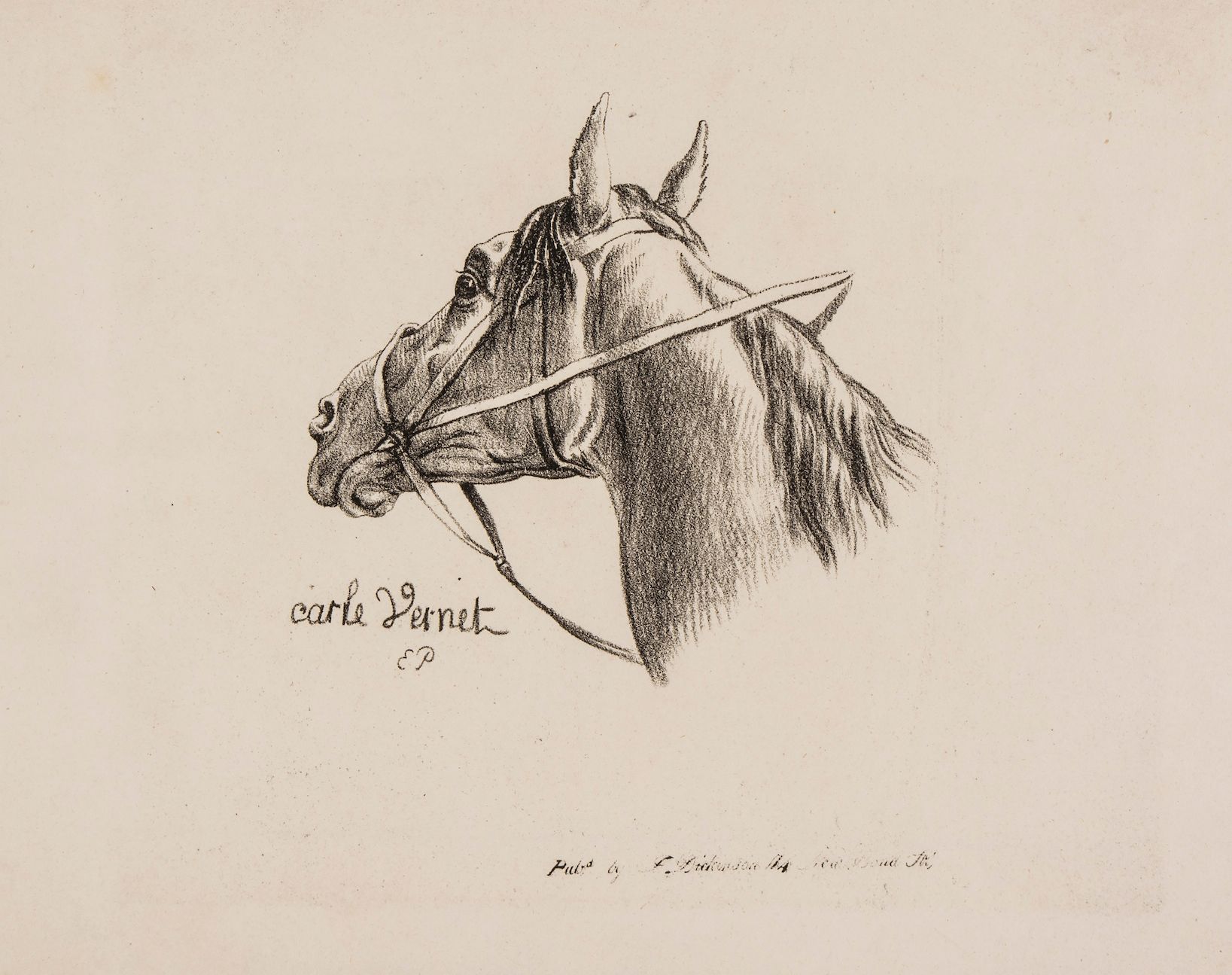 After Carle Vernet - A group of 17 studies of horses' heads, Lithographs, By E. Purcell, 1821, for - Image 2 of 3