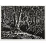 Fleece Press.- - Great Storm (The)  of October 1987 and its aftermath  : Five Wood Engravings ,