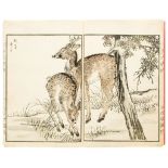 Hobun (Kikuchi) - Hobun Gafu [Pictures by Hobun]  title, and colour wood-block illustrations, 13