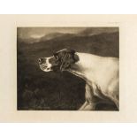 Dogs.- Arkwright (William) - The Pointer and his Predecessors,  out-of-series copy from an edition