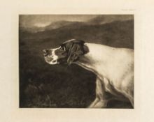 Dogs.- Arkwright (William) - The Pointer and his Predecessors,  out-of-series copy from an edition