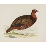 Morris (Beverley R.) - British Game Birds and Wildfowl,  first edition  ,   60 wood-engraved