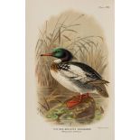 Baker (E.C.Stuart) - The Indian Duck and their Allies,  first edition  ,   one of 1200 copies,