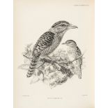 Sclater (Philip Lutley) - A Monograph of the Jacamars and Puff-Birds or Families Galbulidae and