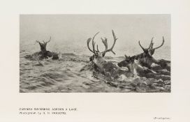 Selous (F.C.) - Recent Hunting Trips in British North America,  first edition,  plates. some light