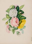An neatly presented album of drawings and watercolours, decorative natural history studies of