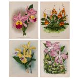 Linden (Jean Jules) - A good group of 20 plates of Orchids for the Lindenia,  chromolithographs,