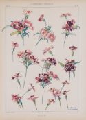 Habert-Dys (Jules Auguste) - L'Ornamet Pratique, pictorial title and 48 plates of decorative