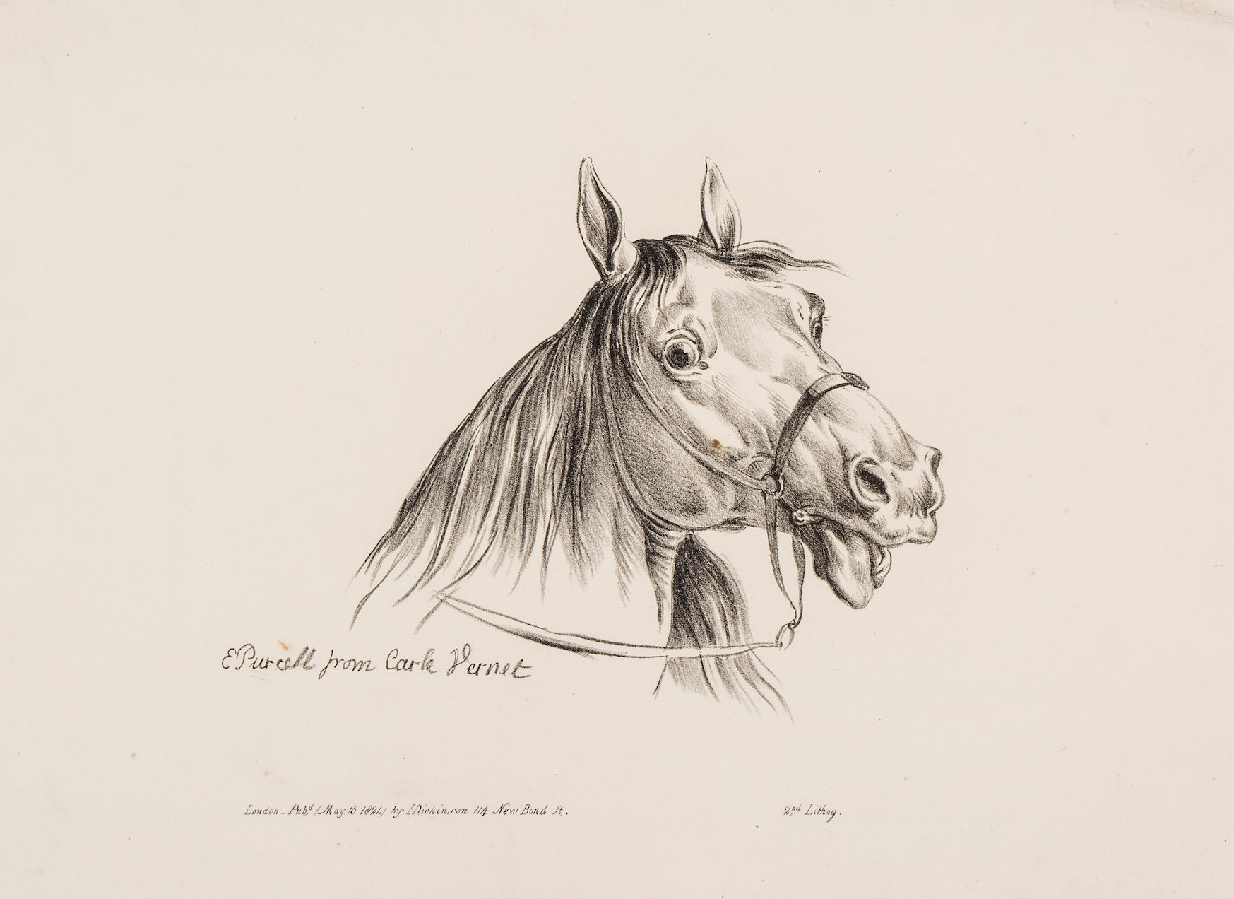 After Carle Vernet - A group of 17 studies of horses' heads, Lithographs, By E. Purcell, 1821, for - Image 2 of 3