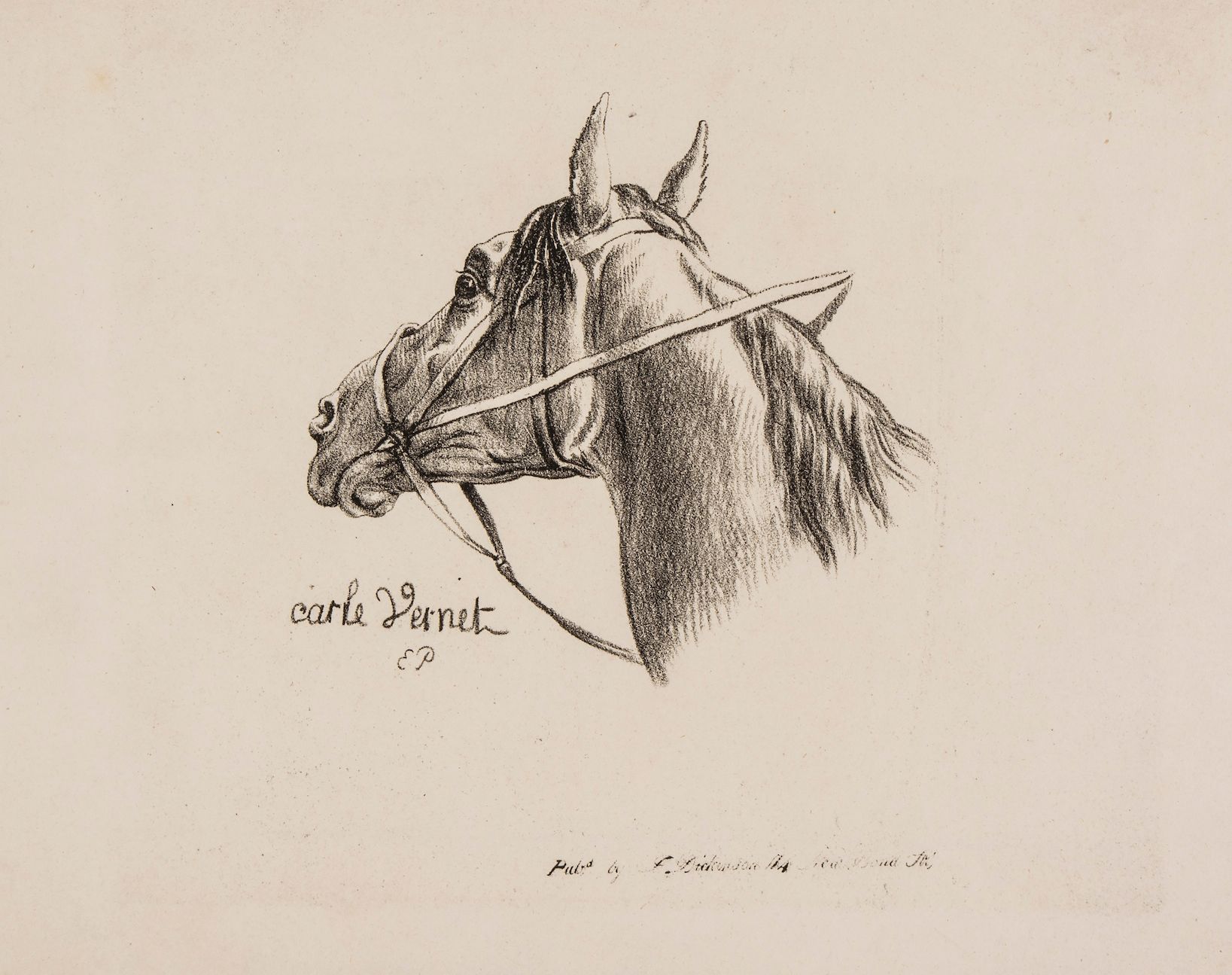 After Carle Vernet - A group of 17 studies of horses' heads, Lithographs, By E. Purcell, 1821, for - Image 3 of 3