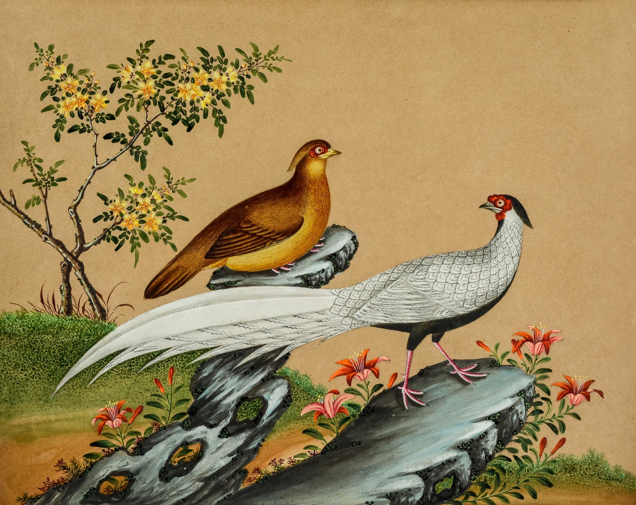 An extensive album of 56 Chinese export paintings, with views of Canton, Macao  An extensive album