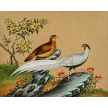 An extensive album of 56 Chinese export paintings, with views of Canton, Macao  An extensive album