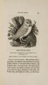 Bewick (Thomas) - History of British Birds, 2 vol.,   wood-engraved title vignettes, numerous